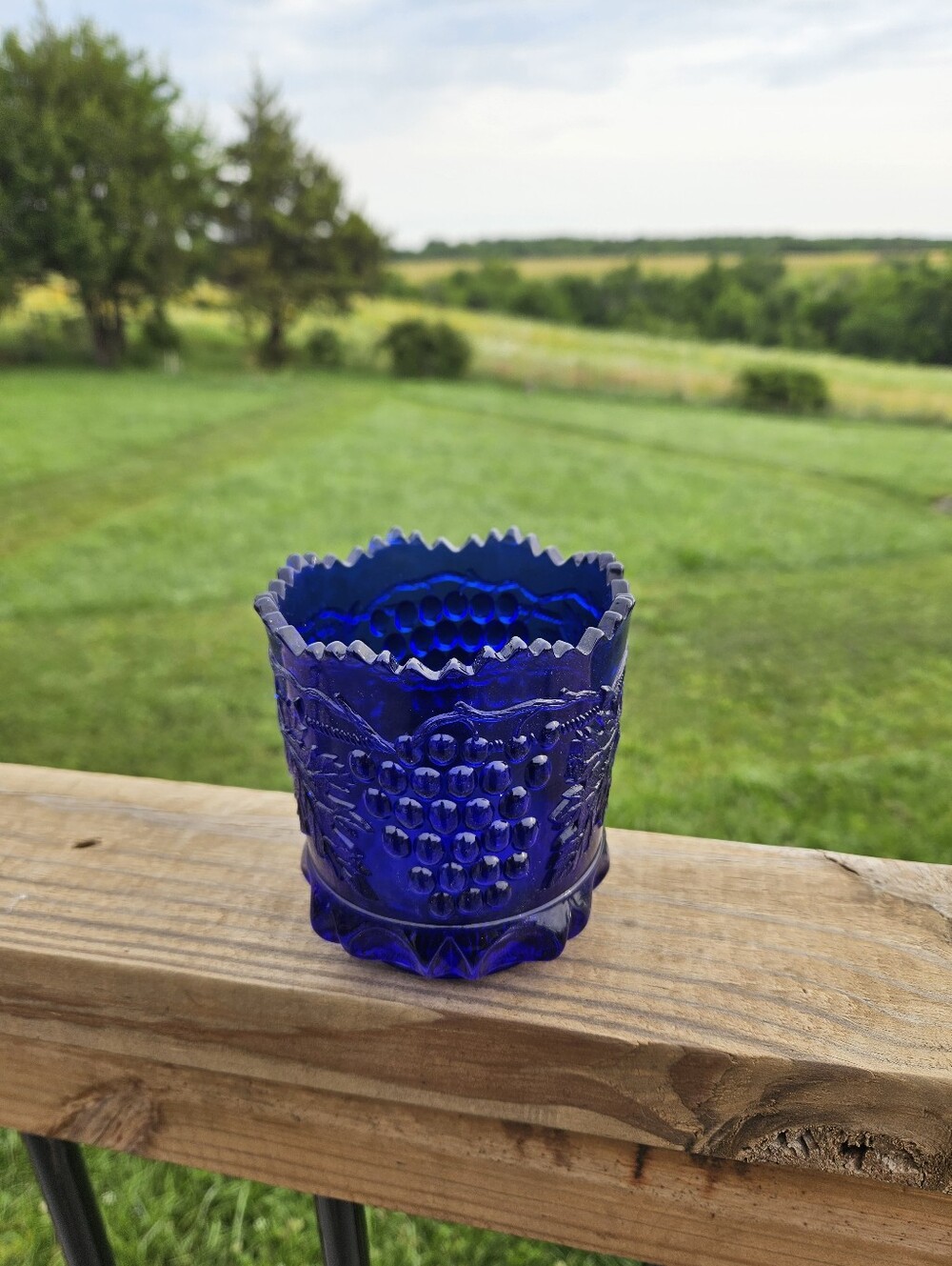 Vintage Cobalt Blue Pressed Glass Tumbler - Scalloped Ruffled Edge - Cherry & Gr